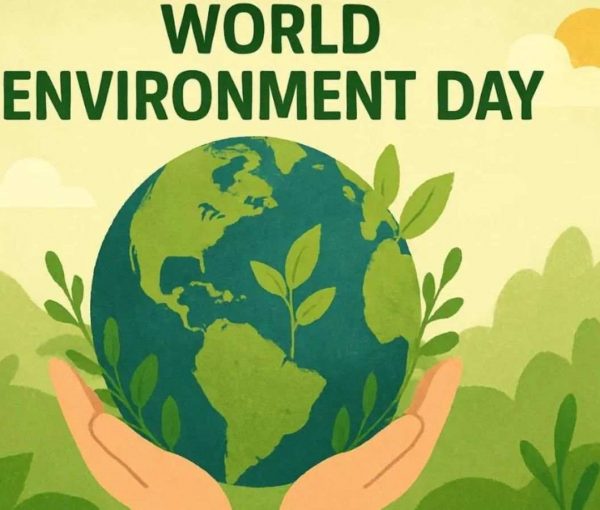 DMCA Calls for Greater Climate Resilience on World Environment Day