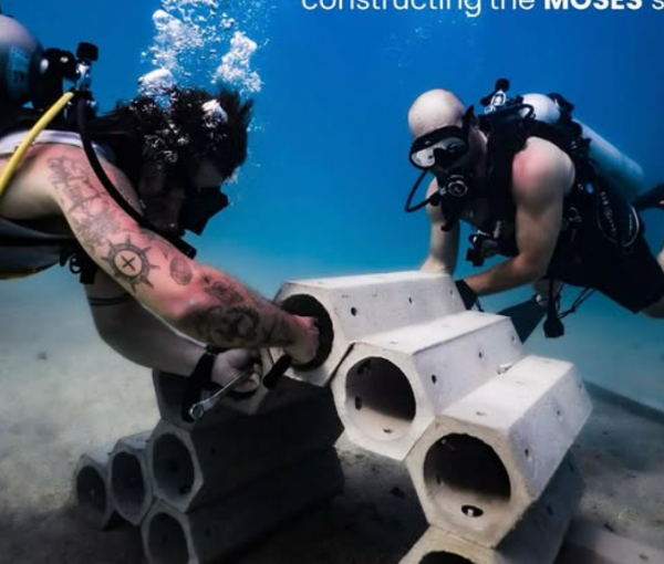 Artificial Reef Project Aims to Revive Coastal Habitats