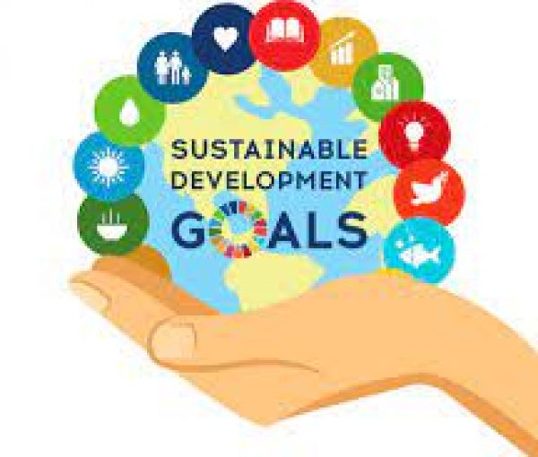 Public Consultations for Sustainable Development Strategy Begins